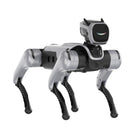 MagicLab MagicDog Quadruped Robot